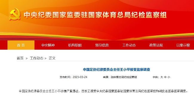 国产亚洲精品网站