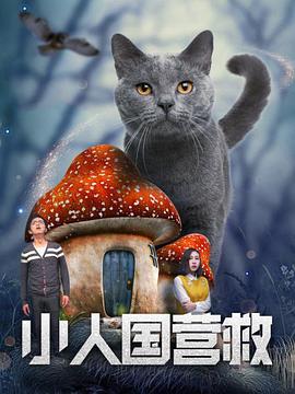 miad女教师系列全部封面
