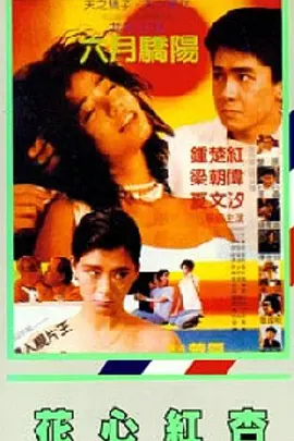 一区二区电影网