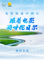 丁香花电影免费看电视剧