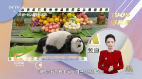 午夜久久精品